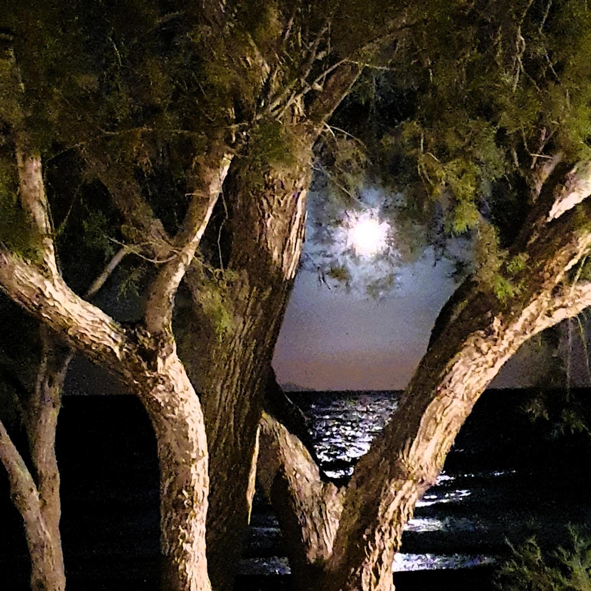 Arion Bay Hotel Santorini Kamári 외부 사진